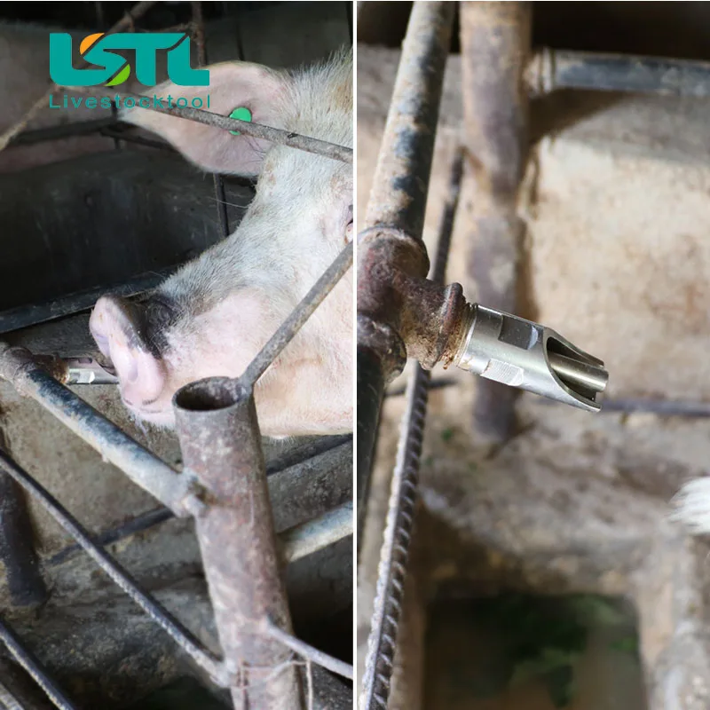 Bebedero automático de agua de acero inoxidable para cerdas, herramienta de granja de vivero, 5 piezas - imagen 5