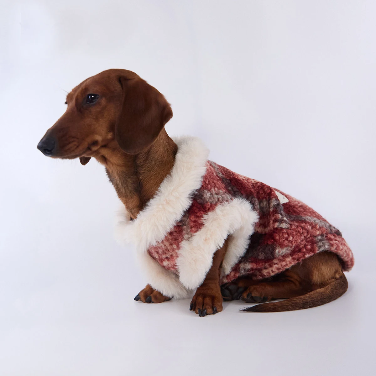Chaleco de lana calido para perros teckel sin mangas estampado rojo - imagen 5