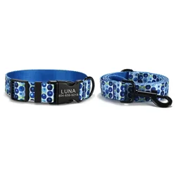 Collar perro personalizado, gato arándanos y correa a juego