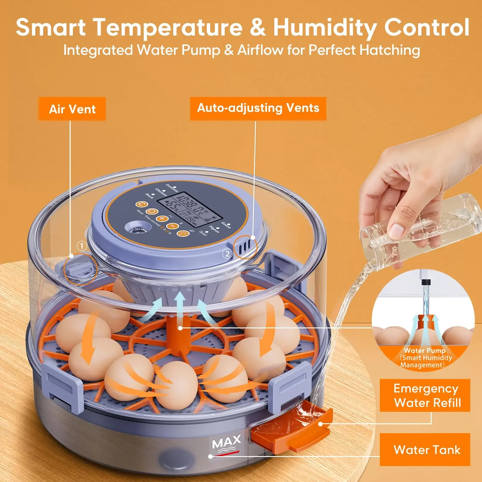 Incubadora automática para 12 huevos con giro y control de temperatura - imagen 3