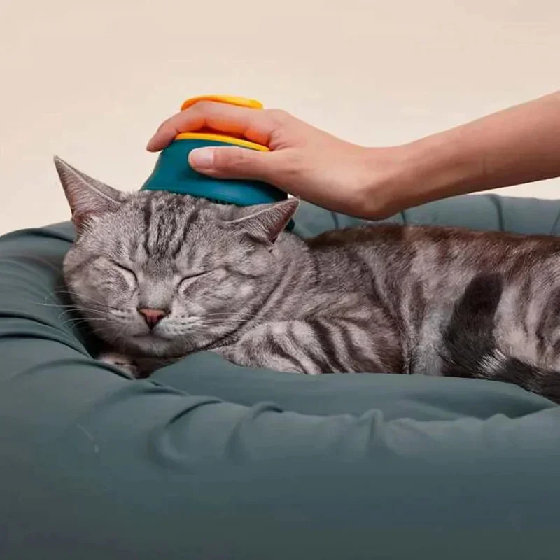 y cepillo de pelo, cepillo de pelo de perro de tamaño mediano, productos Peine pequeño, cepillo para quitar perros, pelo de gato Perro - imagen 3