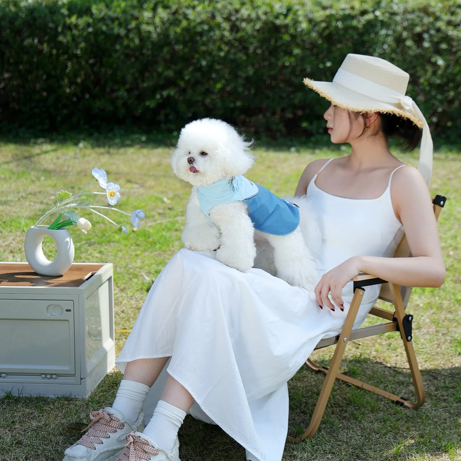 Chaqueta impermeable y resistente al viento para perros, chaqueta funcional para exteriores, impermeable ajustable para perros, ropa reflectante elegante para cachorros, azul - imagen 3