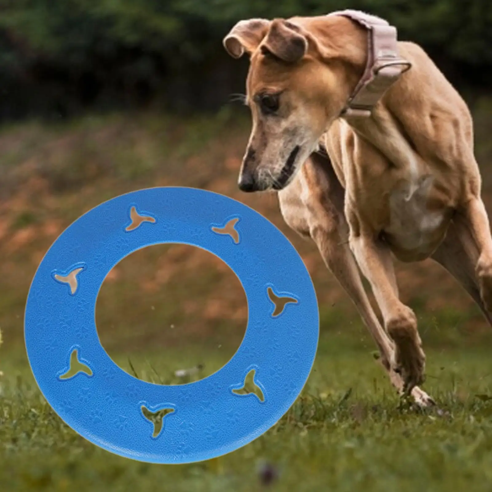 Juguete interactivo para perros, platillo volador flotante, disco volador ligero para fiesta