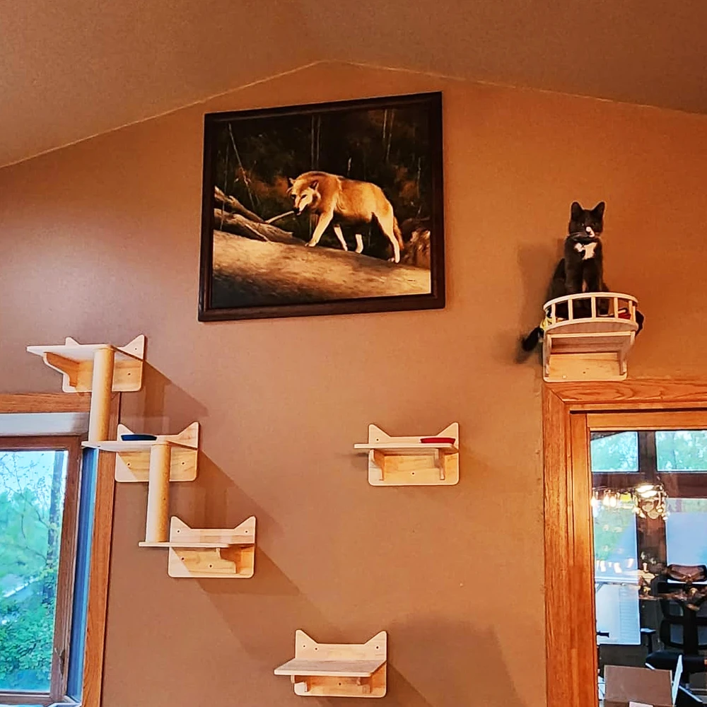 Juego de marco de escalada para gatos de pared, columna de molienda de garra, plataforma multicapa, aspecto de madera maciza para gatos para escalar, jugar y descansar - imagen 4