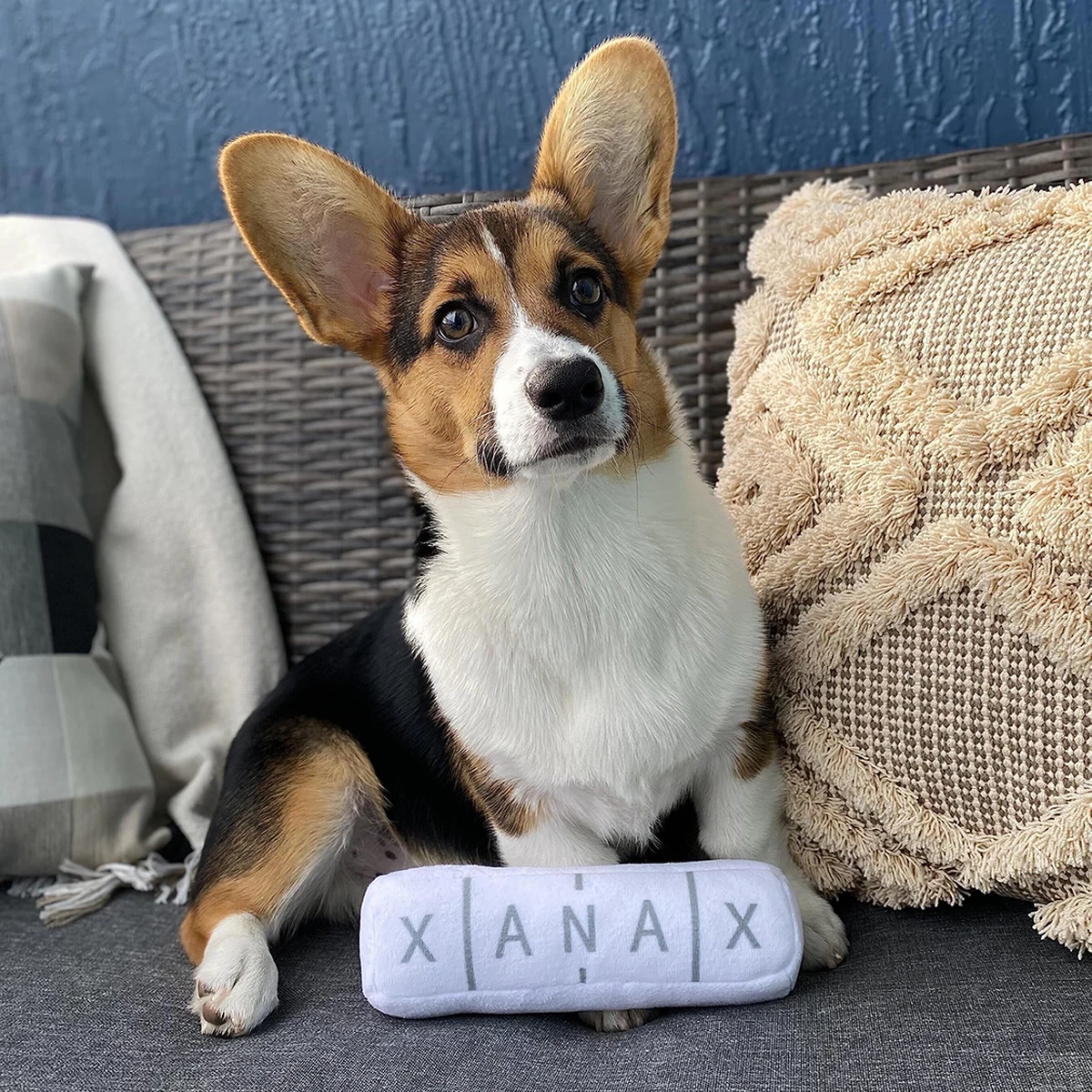 Peluche chirriante para perros – Juguete suave de felpa - imagen 3