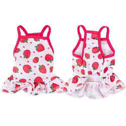 Vestido de verano para gato Sphynx – Falda princesa de plátano y fresa