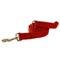 Dog leash
