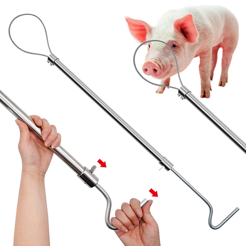 Baoding-dispositivo de captura de cerdo con cable, 1 piezas, agarre de cabeza de cerdo, equipo de cerdo, mango de cobre de seguridad conveniente - imagen 4