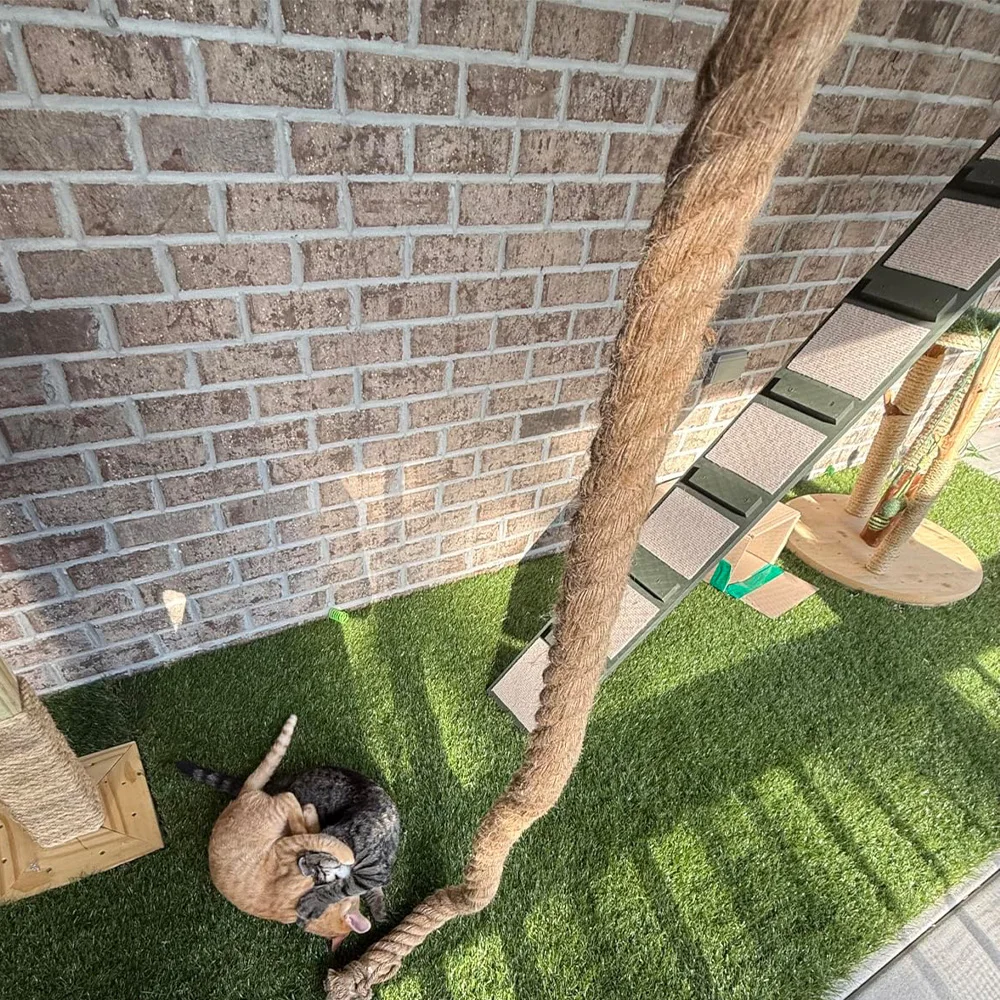 Cuerda de escalada para gatos montada en el techo con cuerda de actividades colgante para rascar de Sisal para gatos de interior para escalar, jugar y hacer ejercicio - imagen 4