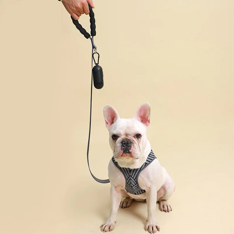 Correa de nailon reflectante para perro, Correa fuerte con mango cómodo, resistente, para perros pequeños, medianos y grandes, para caminar al aire libre - imagen 2