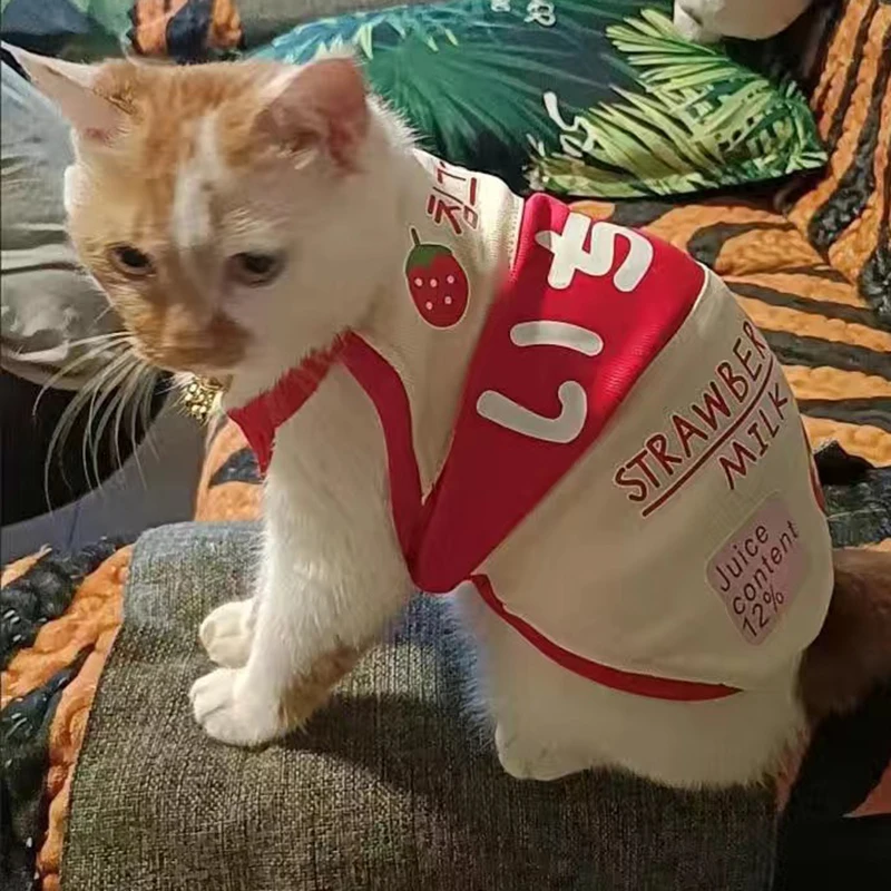 Chaleco con estampado de frutas para gatos, camisola bonita de estilo japonés y coreano para mascotas, vestidos para gatitos Sphynx, Verano - imagen 5