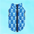 Blue skull