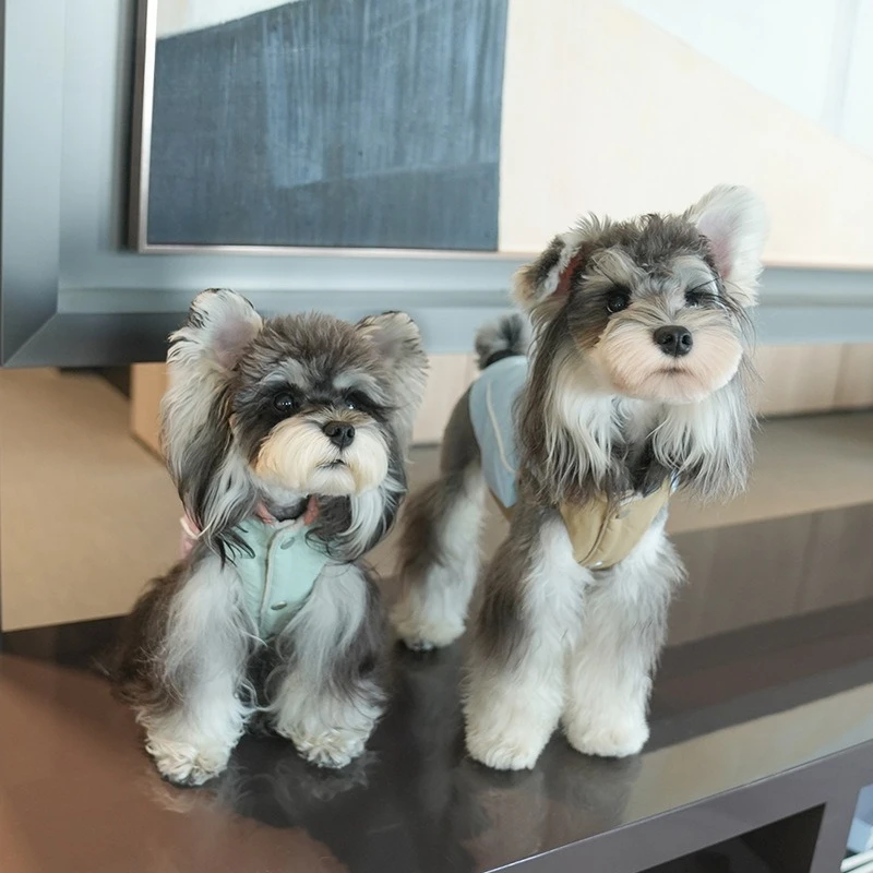 Abrigo de cuello alto para otoño/invierno para mascotas, camiseta sin mangas de dos piernas para perros pequeños, ropa para perros pequeños, ropa para cachorros - imagen 5