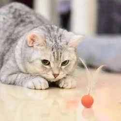 Pelota interactiva elástica para gatos y perros con plumas - diversión