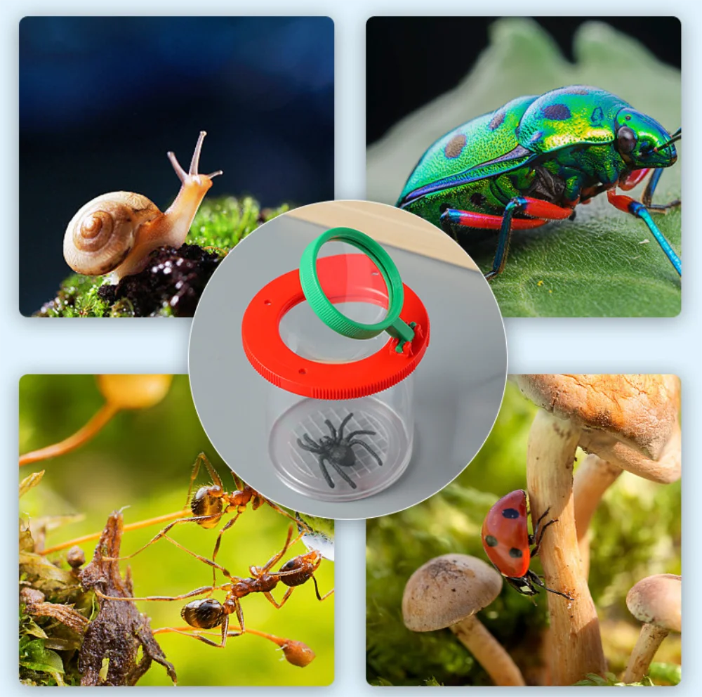 Caja de insectos de araña y animales para niños, lupa 3X 6X, jaula para insectos, tarro para insectos para ciencia, exploración de naturaleza al aire libre - imagen 4