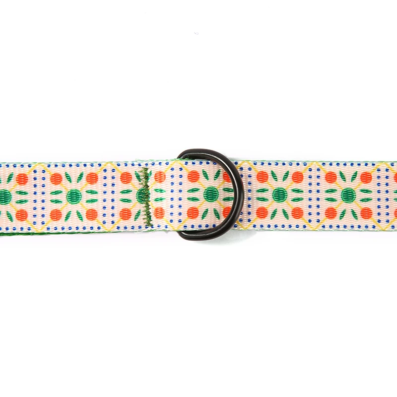 PLATTCO Correa de perro personalizada BISCUITS DE FRUTA personalizada para caminar al accesorio de correa de perro para perro pequeño, mediano y grande, talla 5 PDL331 - imagen 2