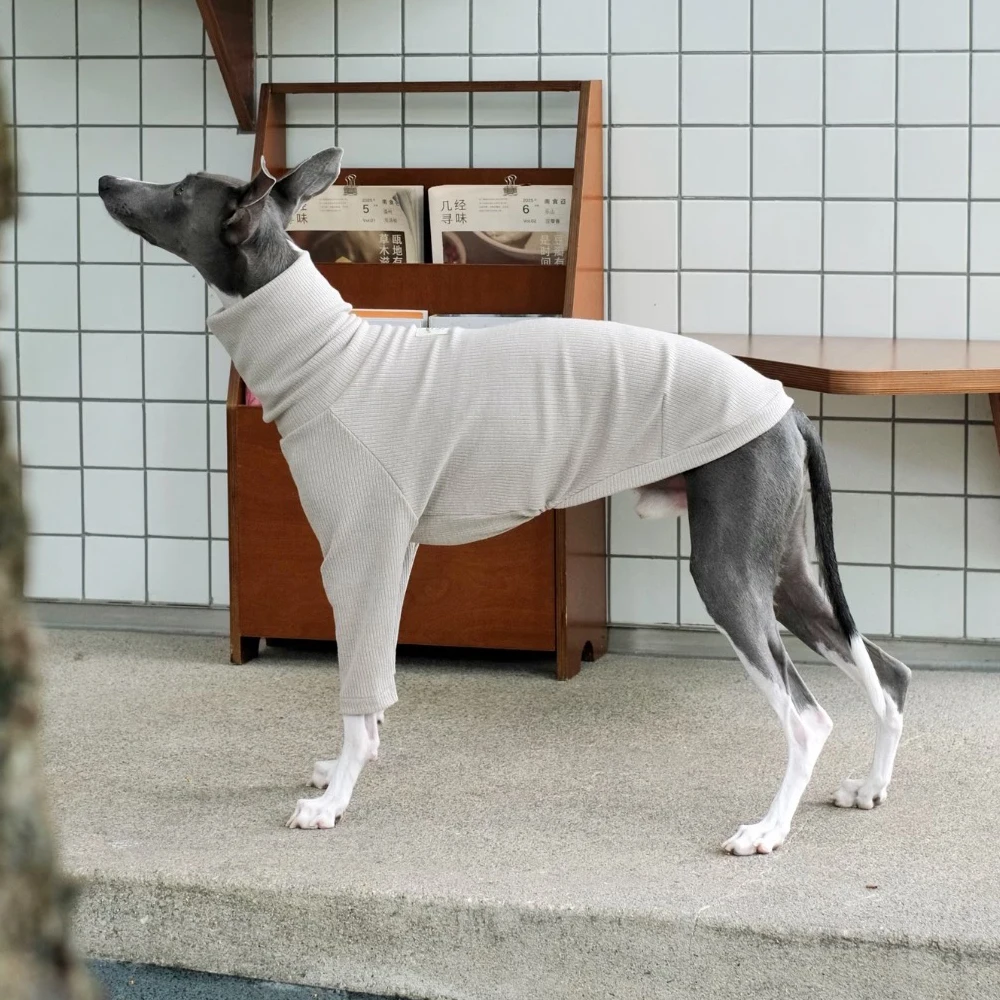 Camiseta de algodón de otoño para galgo italiano, abrigo suave de manga larga para ropa de perro Whipbit, ropa de descanso Terrier de cuello alto - imagen 4