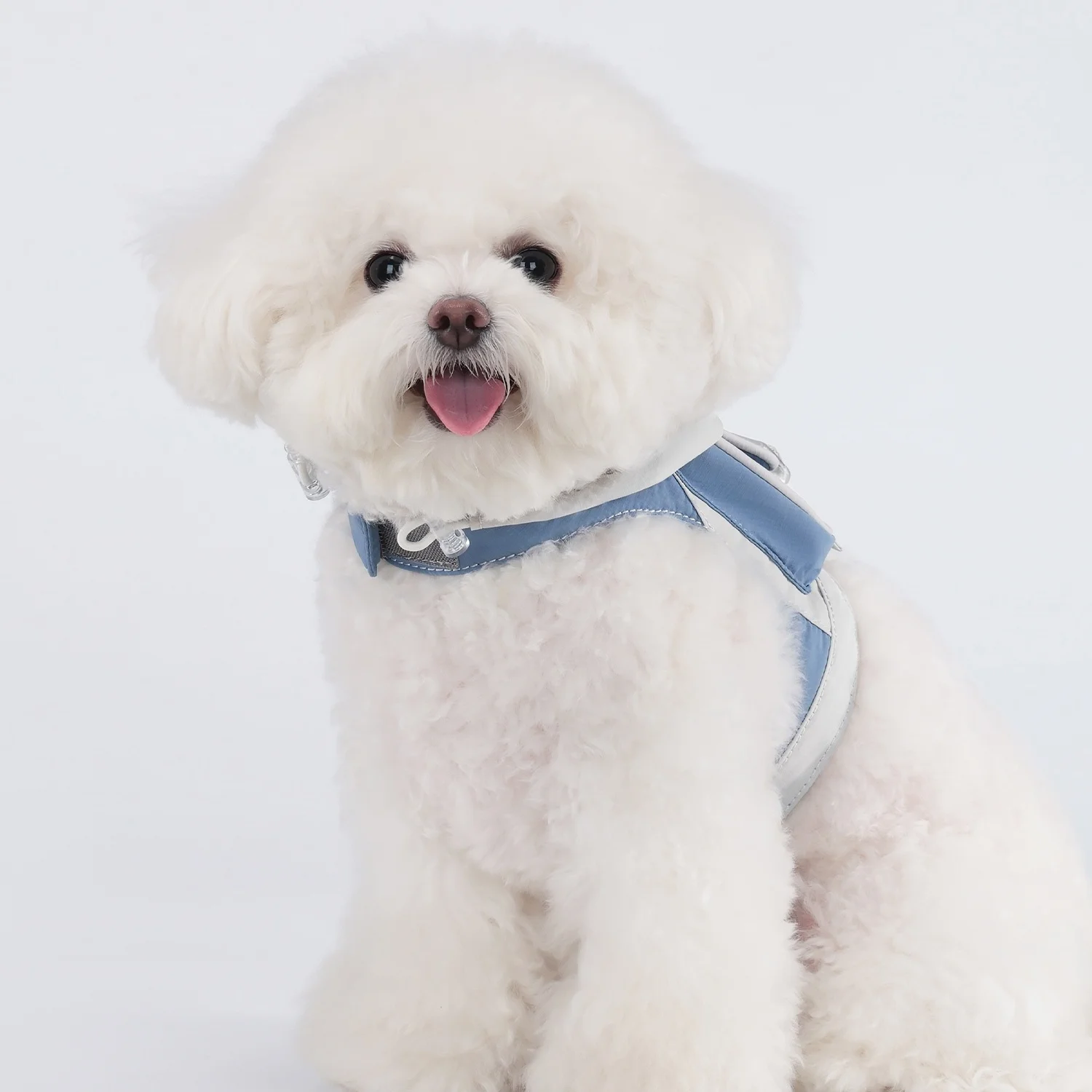 Chalecos para perros al aire libre para perros pequeños y medianos como Bichon Frise Corgi Schnauzer ropa para mascotas con mochila ropa para mascotas - imagen 5