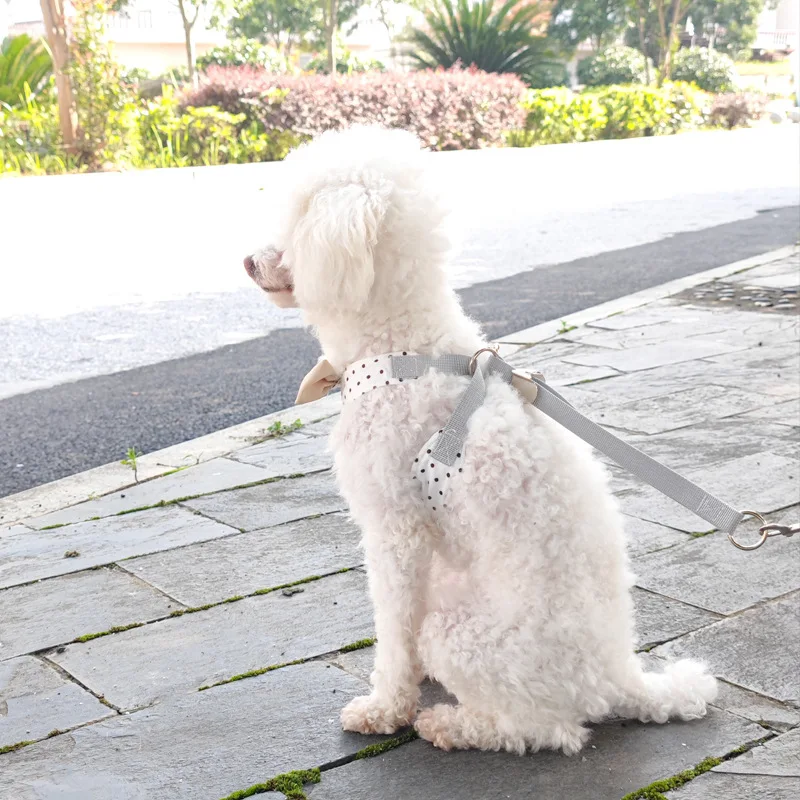 Arnés transpirable para mascotas, suministros de tracción para perros, bonito chaleco con pajarita, correa para perros y gatos, arnés Universal en Y para el pecho y la espalda - imagen 4