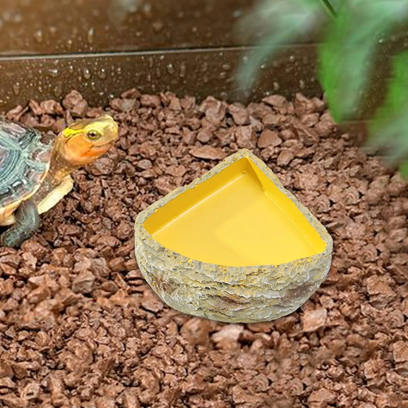 Reptile Water Dish Reptile Feeder Feeding Bowl Food Dish for Leopard Gecko Bearded Dragon