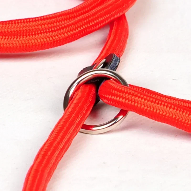 Cadena de cuerda de tracción para perro, Collar de nailon dorado, Correa P para perros grandes, accesorios cómodos para perros pequeños, productos para mascotas - imagen 5