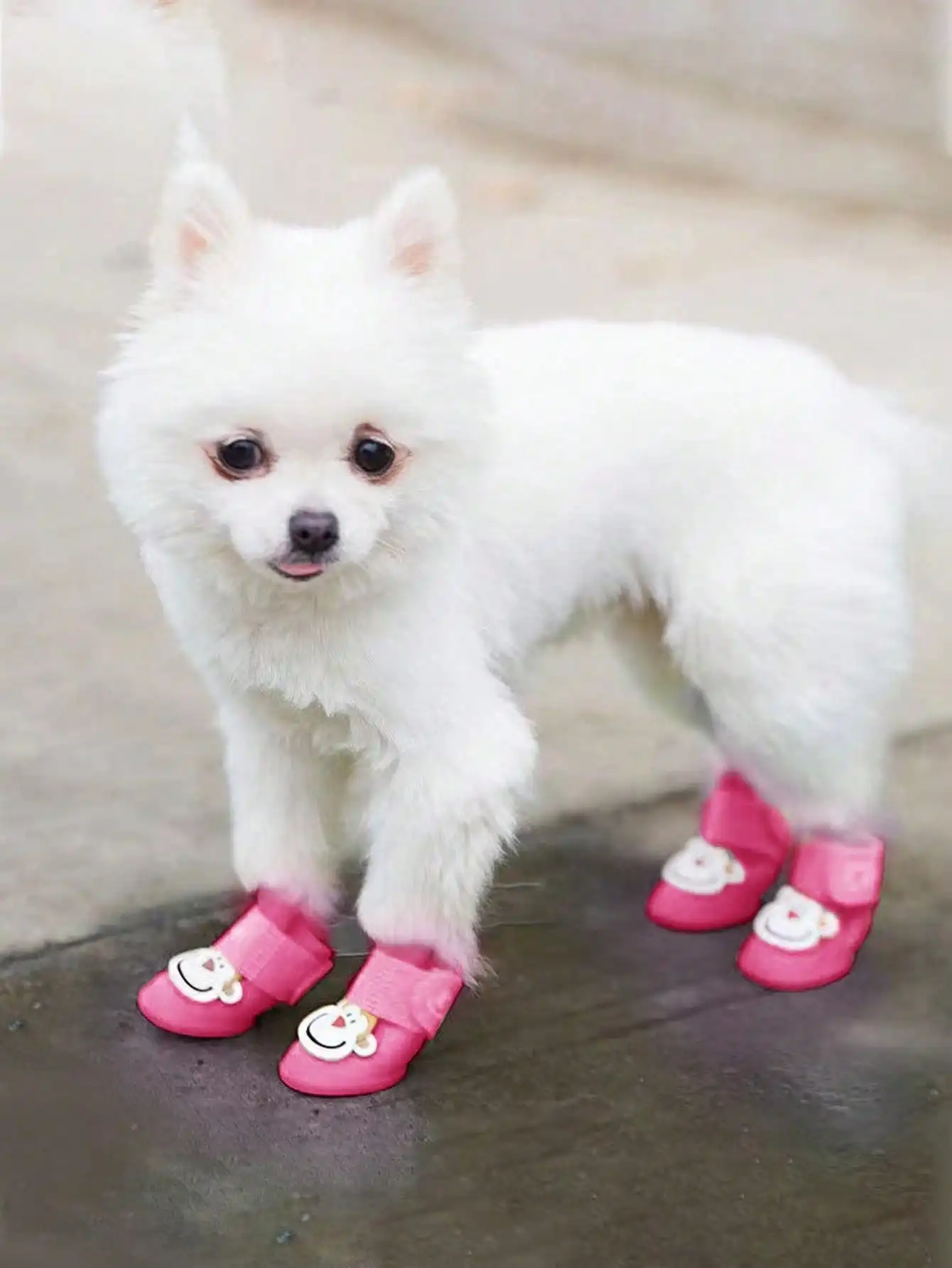 4 juegos de zapatos con estampado de dibujos animados para salir de mascotas, adecuados para mascotas pequeñas y medianas. - imagen 5