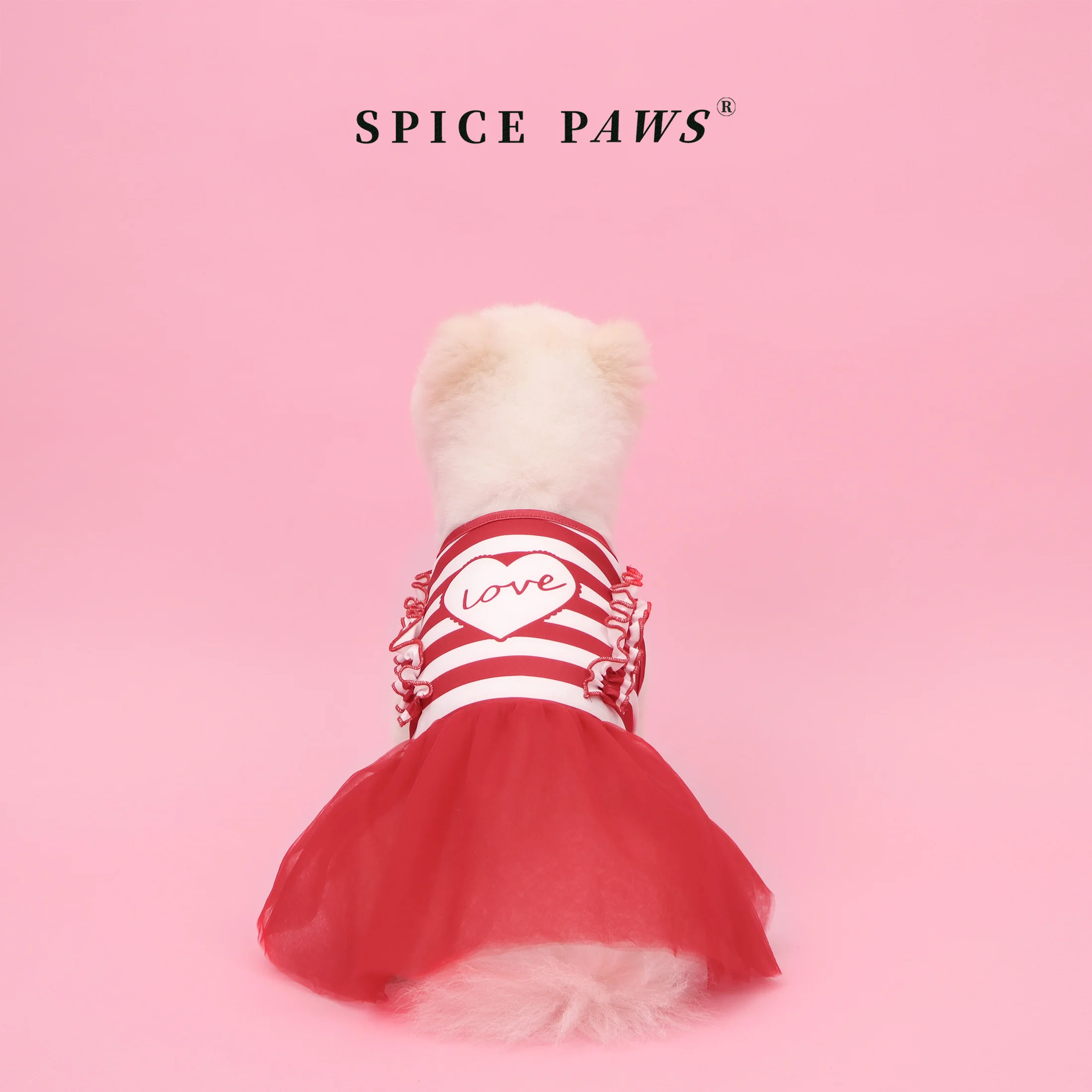 Vestido tutú para perros y gatos pequeños – Diseño San Valentín - imagen 2