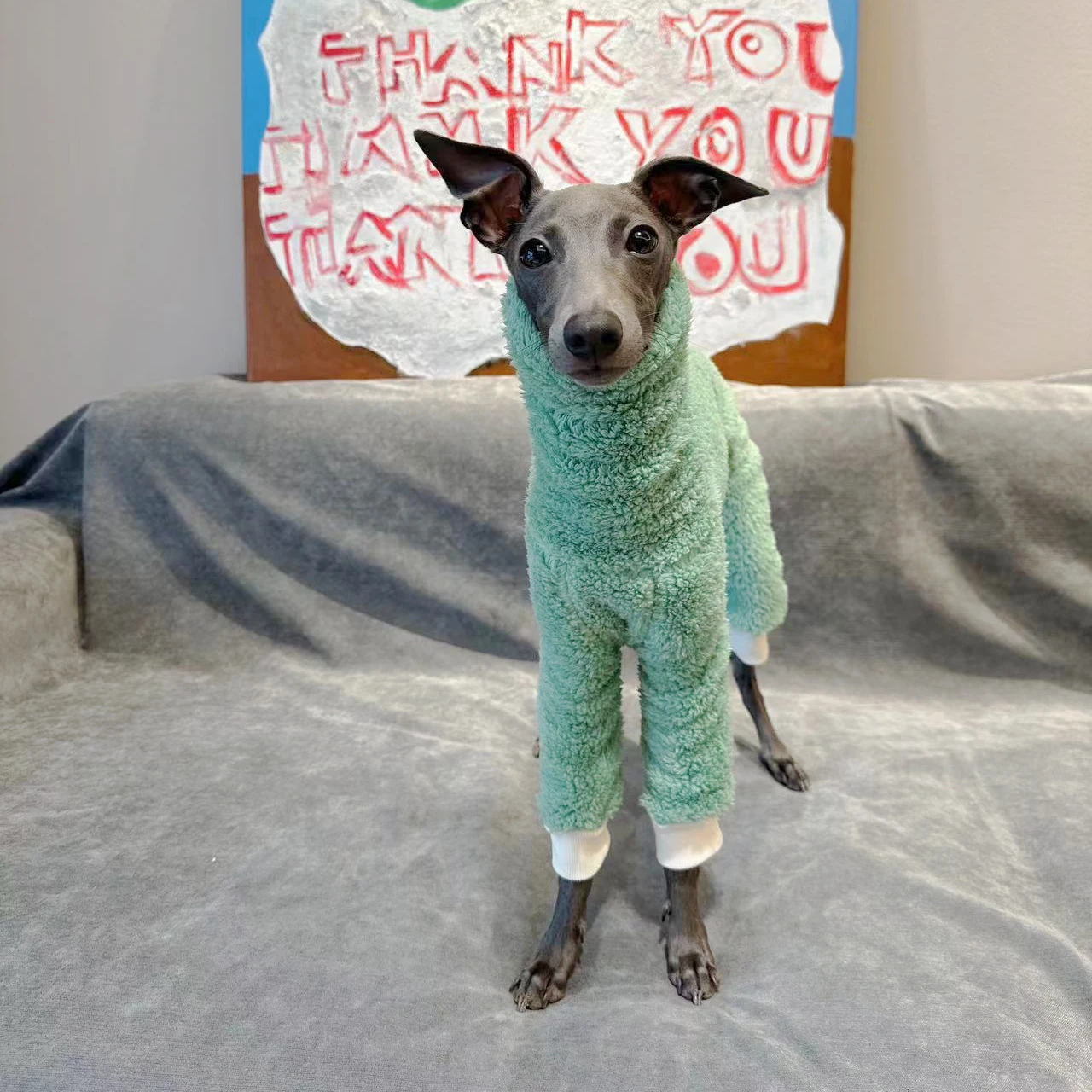Ropa de lana de doble cara para perro, abrigo cálido de Galgo para mascotas, ropa verde para cachorros, Invierno - imagen 3