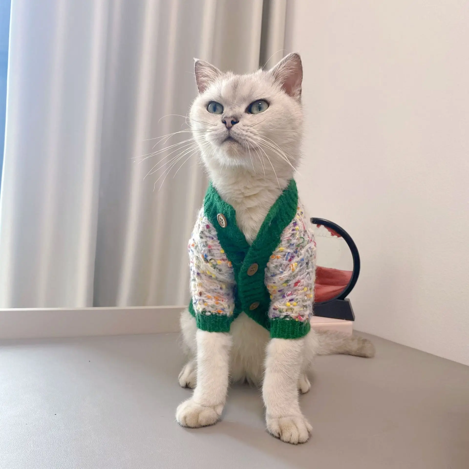 Suéter de otoño e invierno para mascotas, cárdigan de lunares coloridos de Color contrastante, ropa Schnauzer Yorkshire, ropa para cachorros - imagen 2