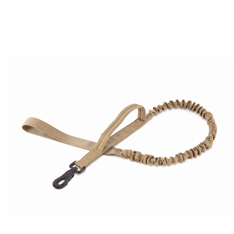 Brown Dog leash