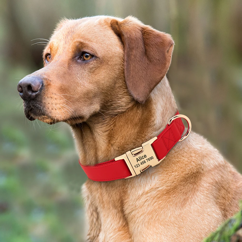 Collar de perro personalizado, collares de cuero para perros, Collar con etiqueta de identificación de mascota personalizado, ajustable para perros pequeños, medianos y grandes, carlino grabado gratis - imagen 5
