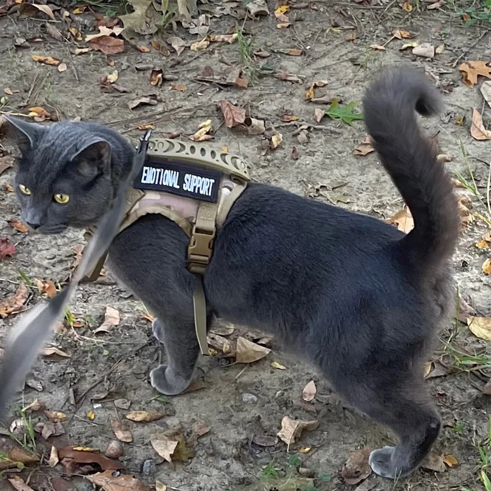 Juego de arnés y correa tácticos para mascotas con diseño sin tirones, velcro personalizado para perros pequeños y gatos, equipo resistente para entrenamiento a caminar - imagen 5