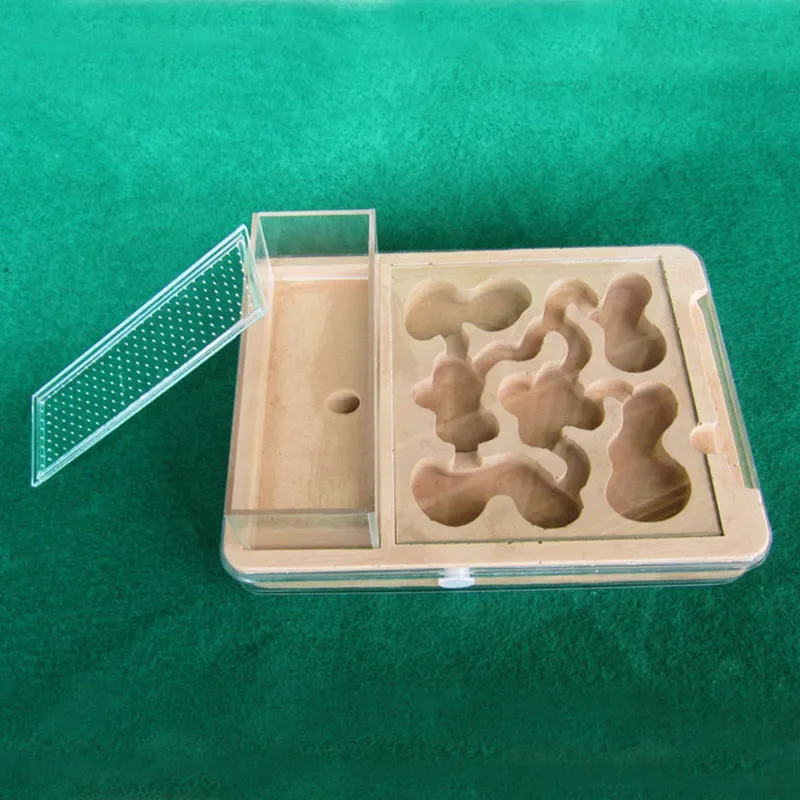 Plaster Plane Ant Farm Highly Moisturizing Ant Nest Insect Castle Drinking for Ant House with Hunt Area Gypsum Anthill Workshop - imagen 2