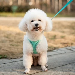 Chaleco protector reflectorizo para perros – Transpirable y ajustable