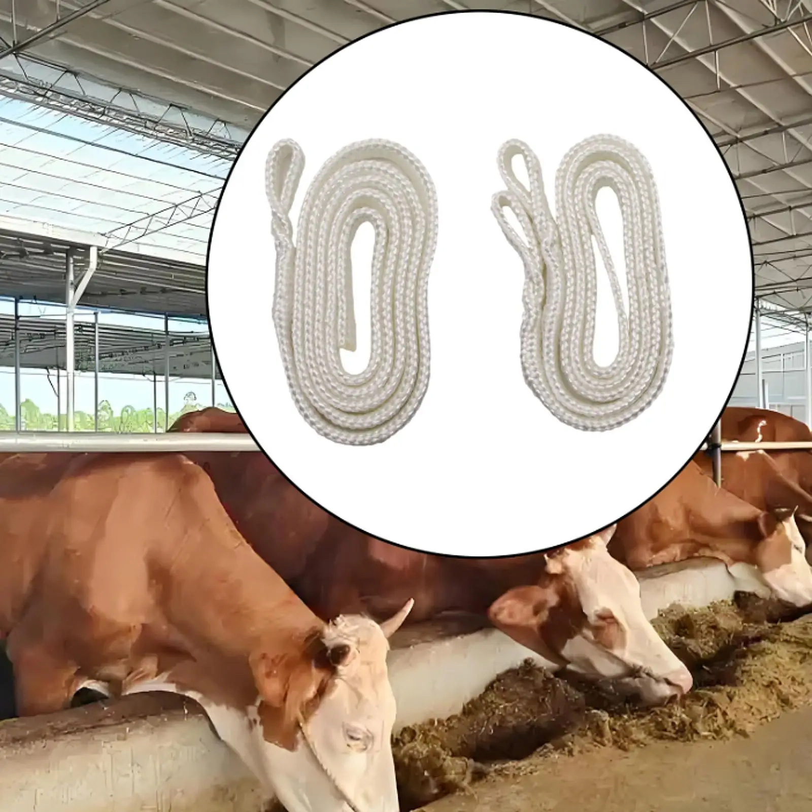 Cow Delivery Rope Portable Easy to Use Reusable Cotton Calving Rope for Farm
