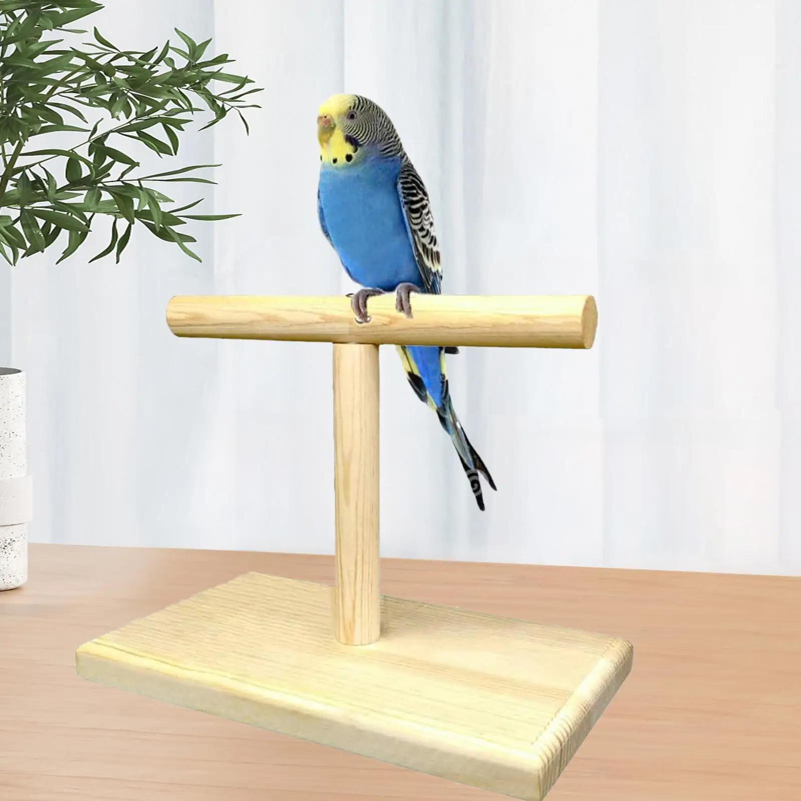 Bird Training Stand Stable Bird Perch Stand for Parakeets Parrots Lovebirds