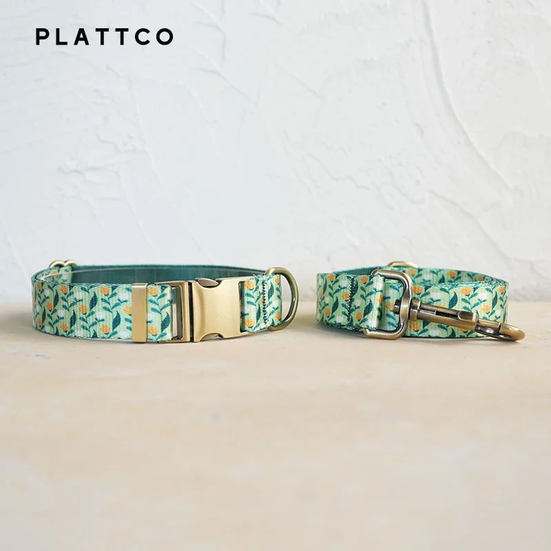 Dog Collar Leash Set