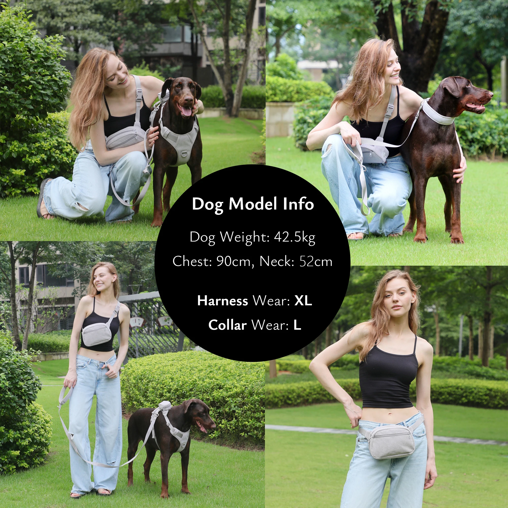 Arnés para perro personalizado, arnés de diseño de lujo y juego de cables con Collar, nombre grabado, soporte para bolsa de caca, bolsa para caminar, conjunto de regalo para mascotas - imagen 4