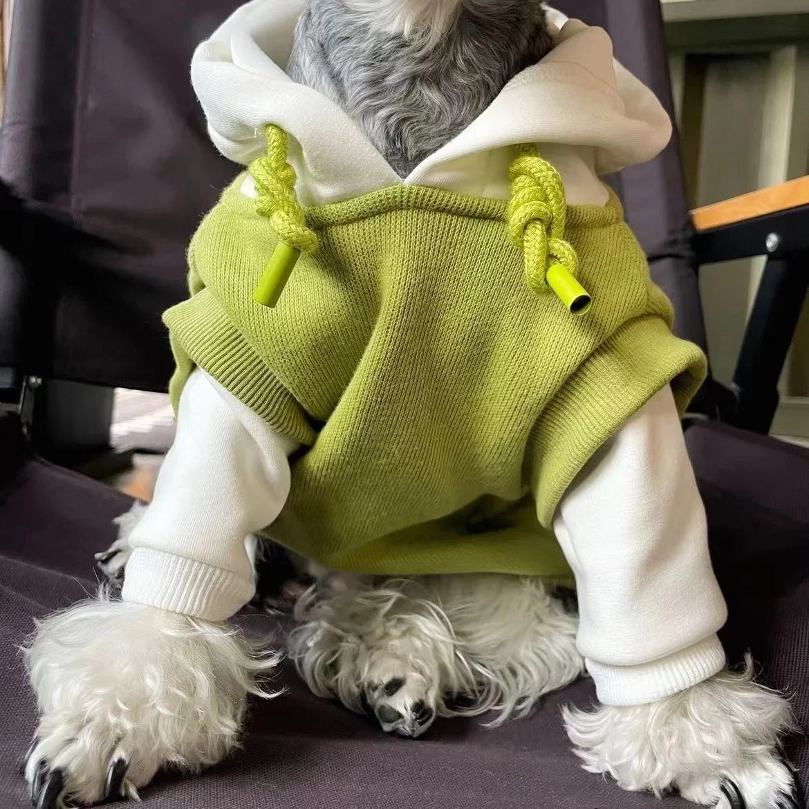 Ropa de moda de invierno para perros, Sudadera cálida con capucha, abrigo para cachorros de Bulldog Francés para perros pequeños y medianos, disfraz para mascotas Chihuahua - imagen 5