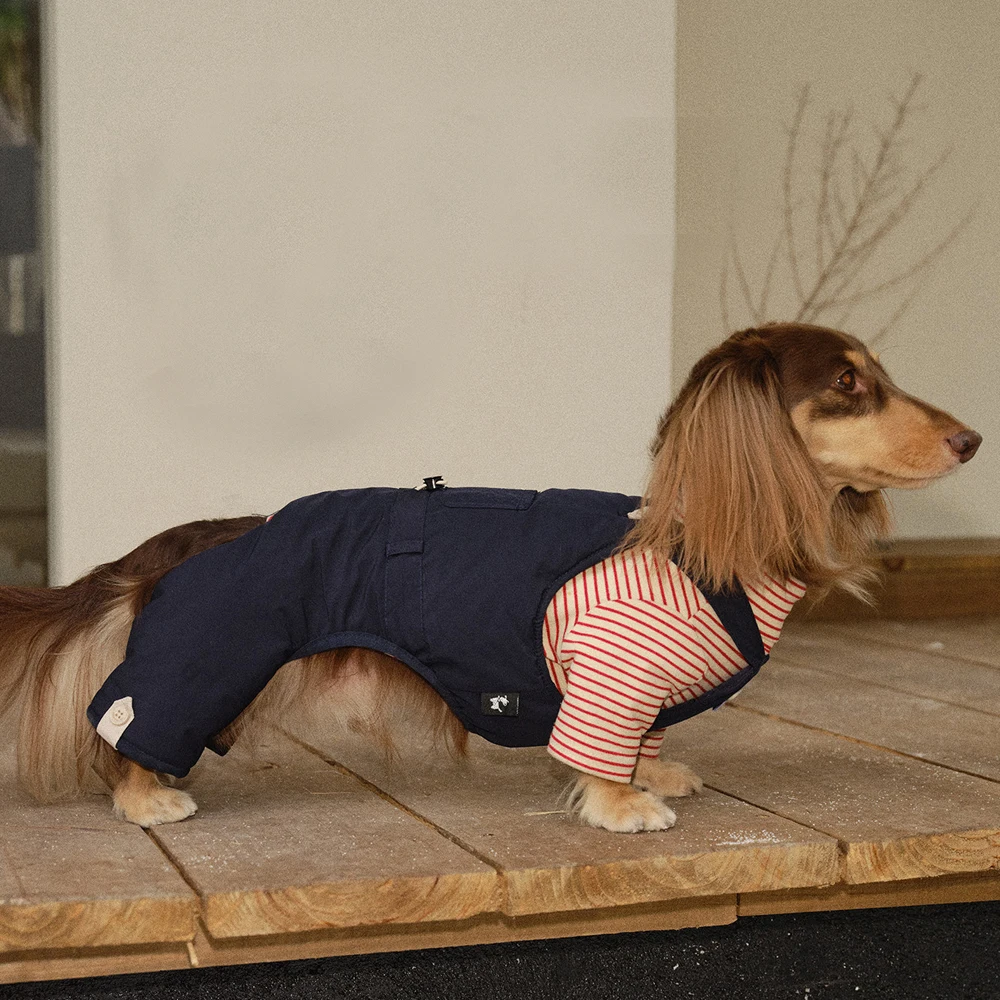 Pantalón vaquero azul para dachshund cómodo y estiloso - imagen 4