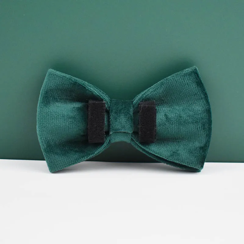 Collar y correa de terciopelo verde para perros, placa de identificación grabada personalizada, suministros para mascotas, velvet43 - imagen 5