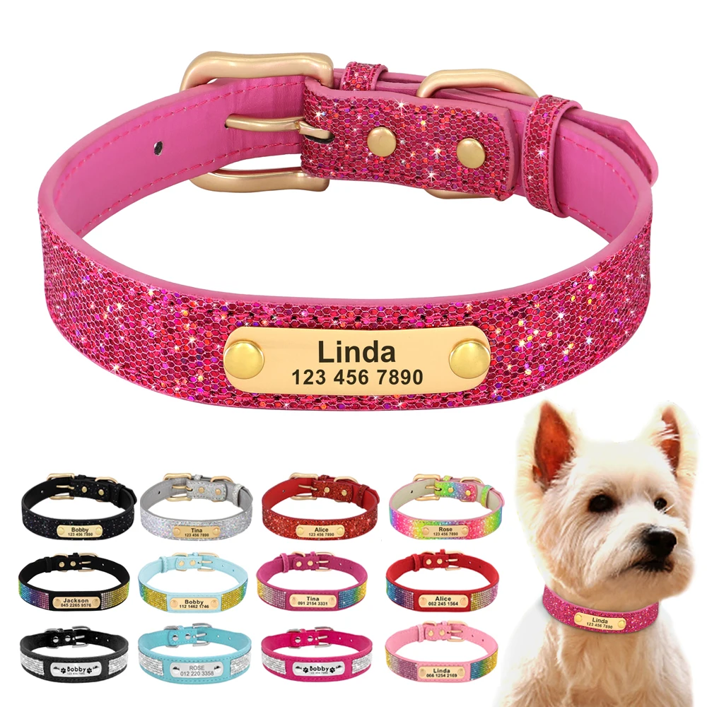 Collar perro personalizado PET ARTIST - Vista principal del collar brillante