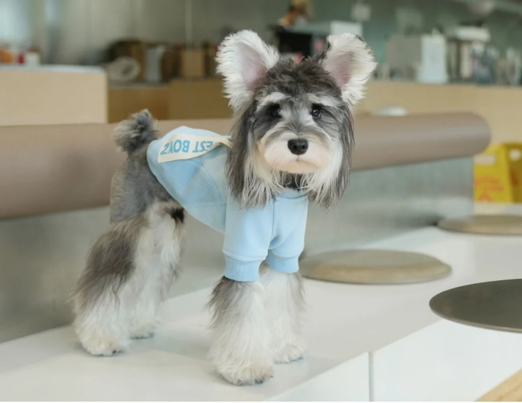 Perro de dos patas sudadera con capucha mascota caliente otoño invierno ropa perros pequeños chaqueta abrigo ropa para clima frío caniche maltés - imagen 4