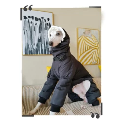 Abrigo invierno cuello tortuga para perros Whippet y Galgo