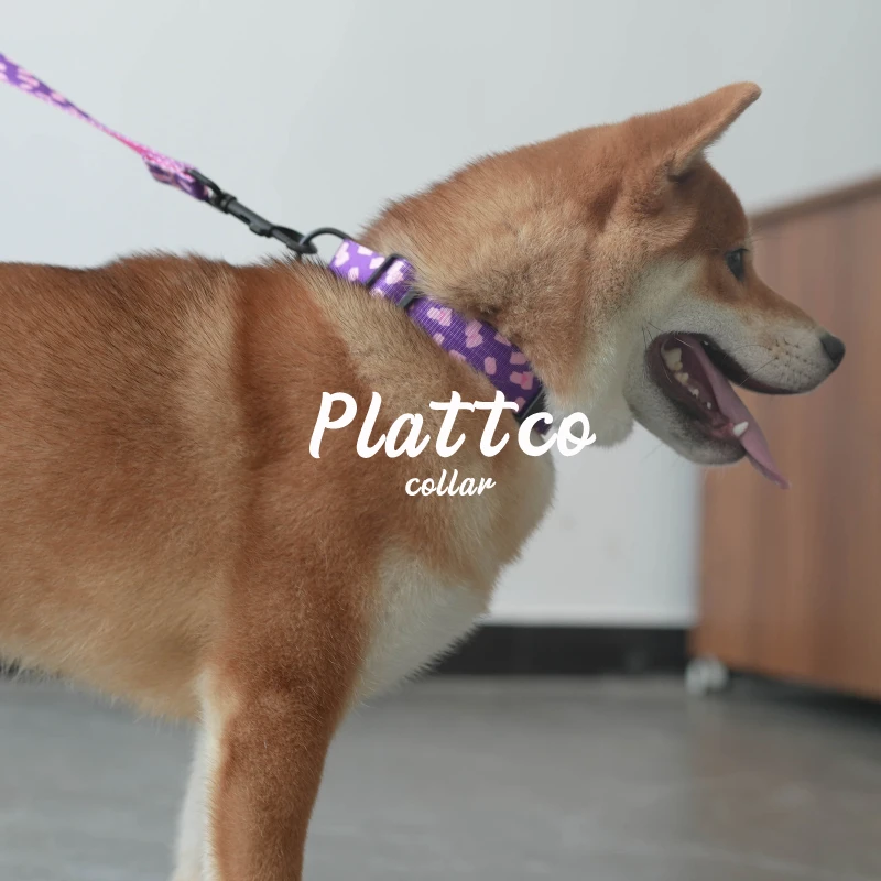 PLATTCO-collar personalizado para perro, accesorio ajustable de color rosa, para mascotas, unisex, mediano y grande, 5 tamaños, PDC318