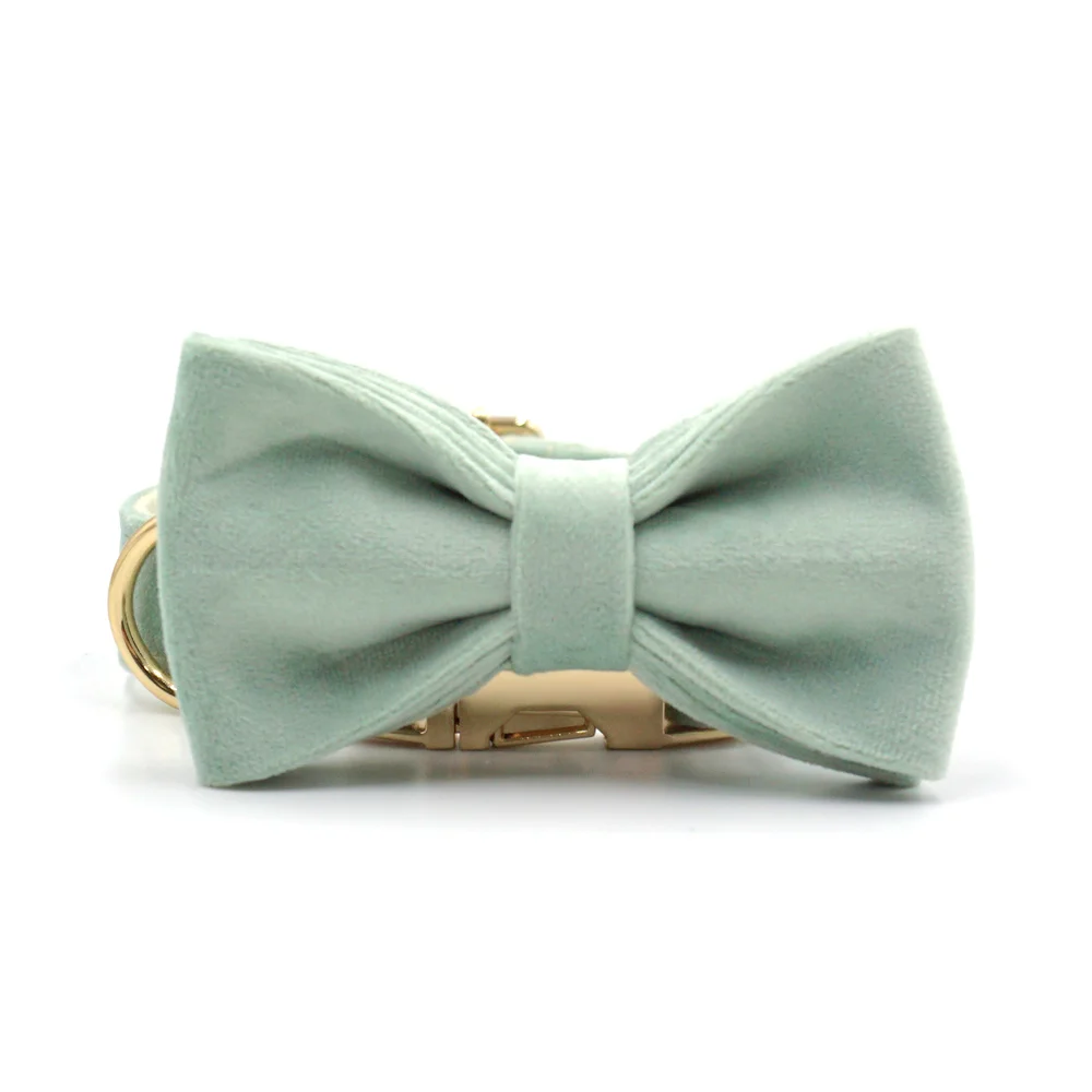 collar with bow