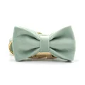 collar with bow