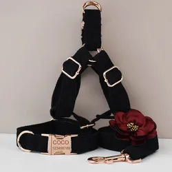 Collar y correa de cuero para perros medianos y grandes – Grabado personalizado incluido