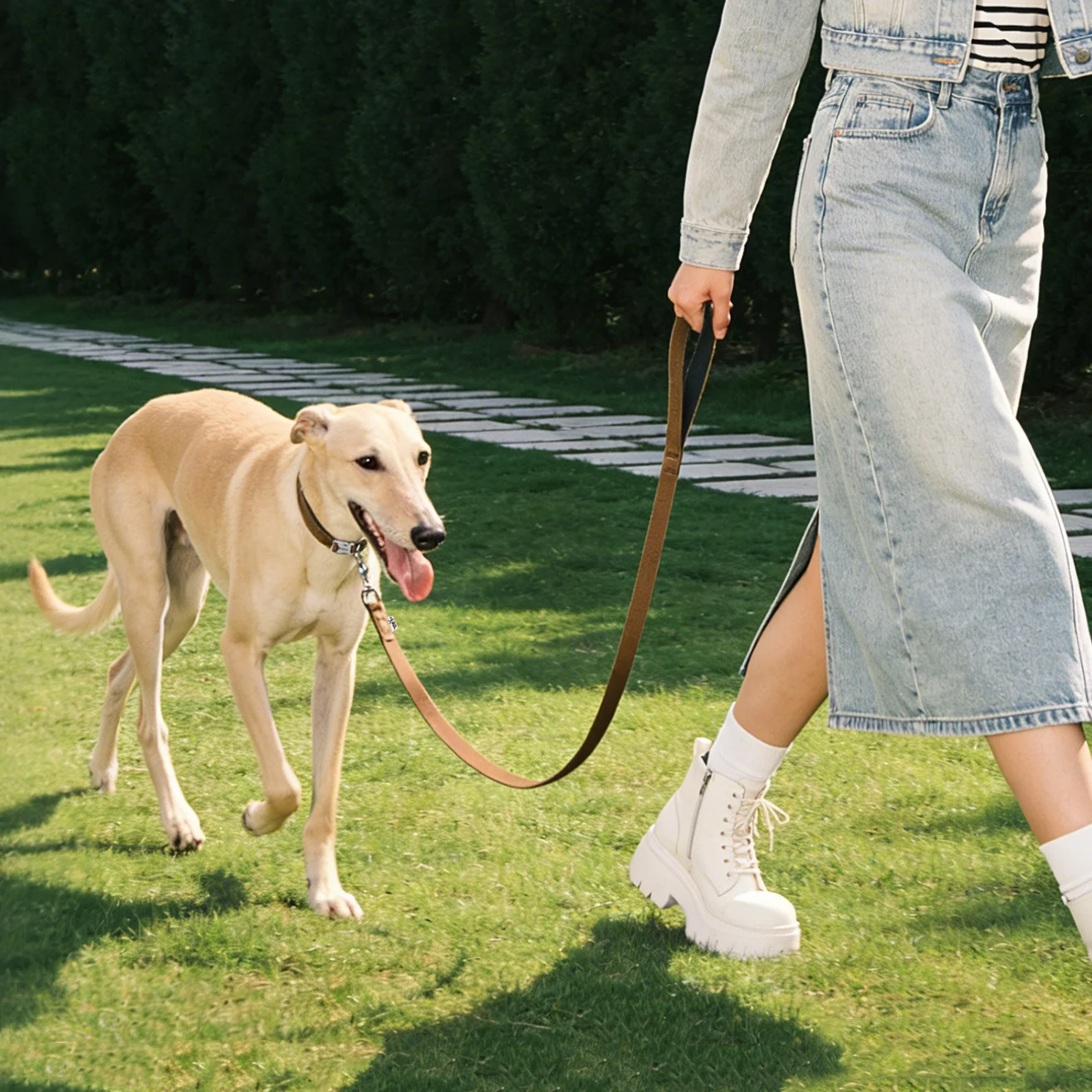 Conjunto collar y correa para perros - algodón con mango acolchado - imagen 4