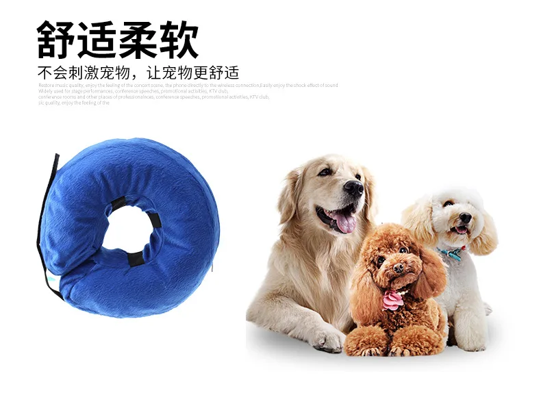 Pet scarf anti-bite ring _03 jpg